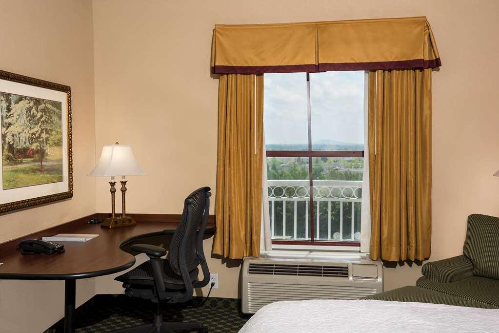 Hampton Duluth Hotel