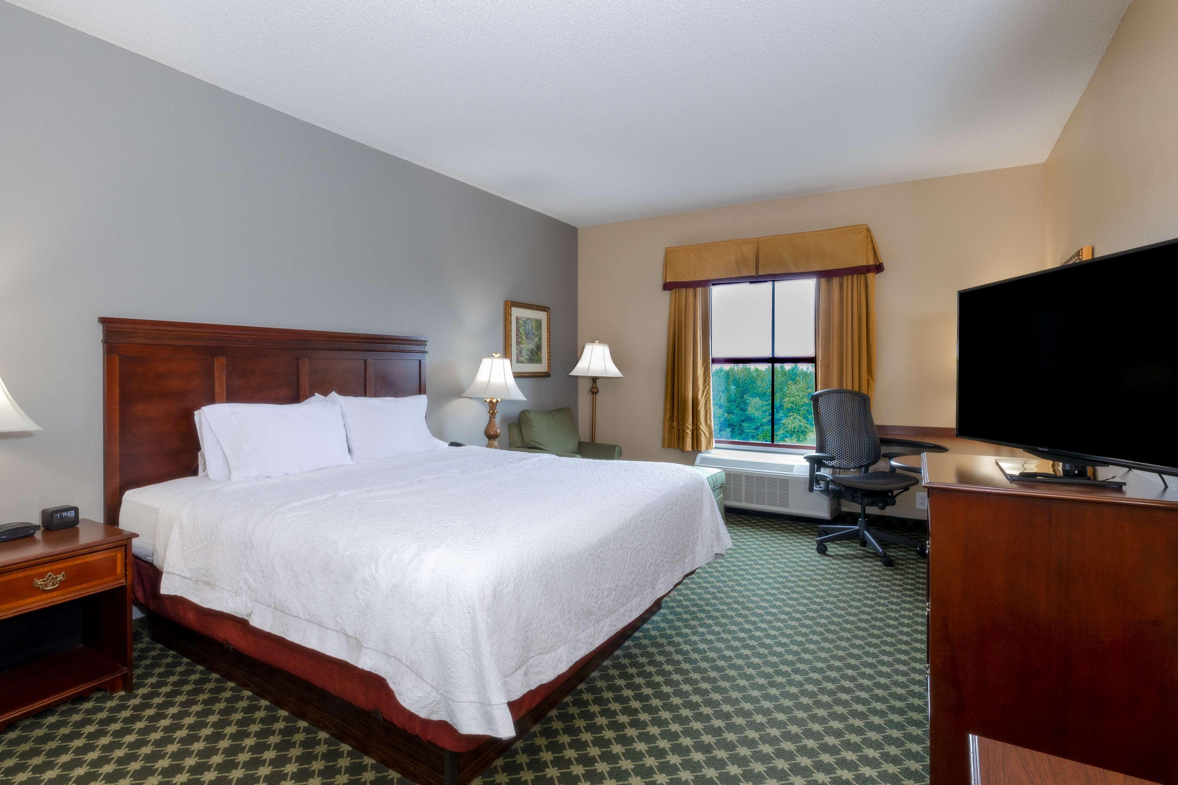 Hampton Duluth Hotel 3*