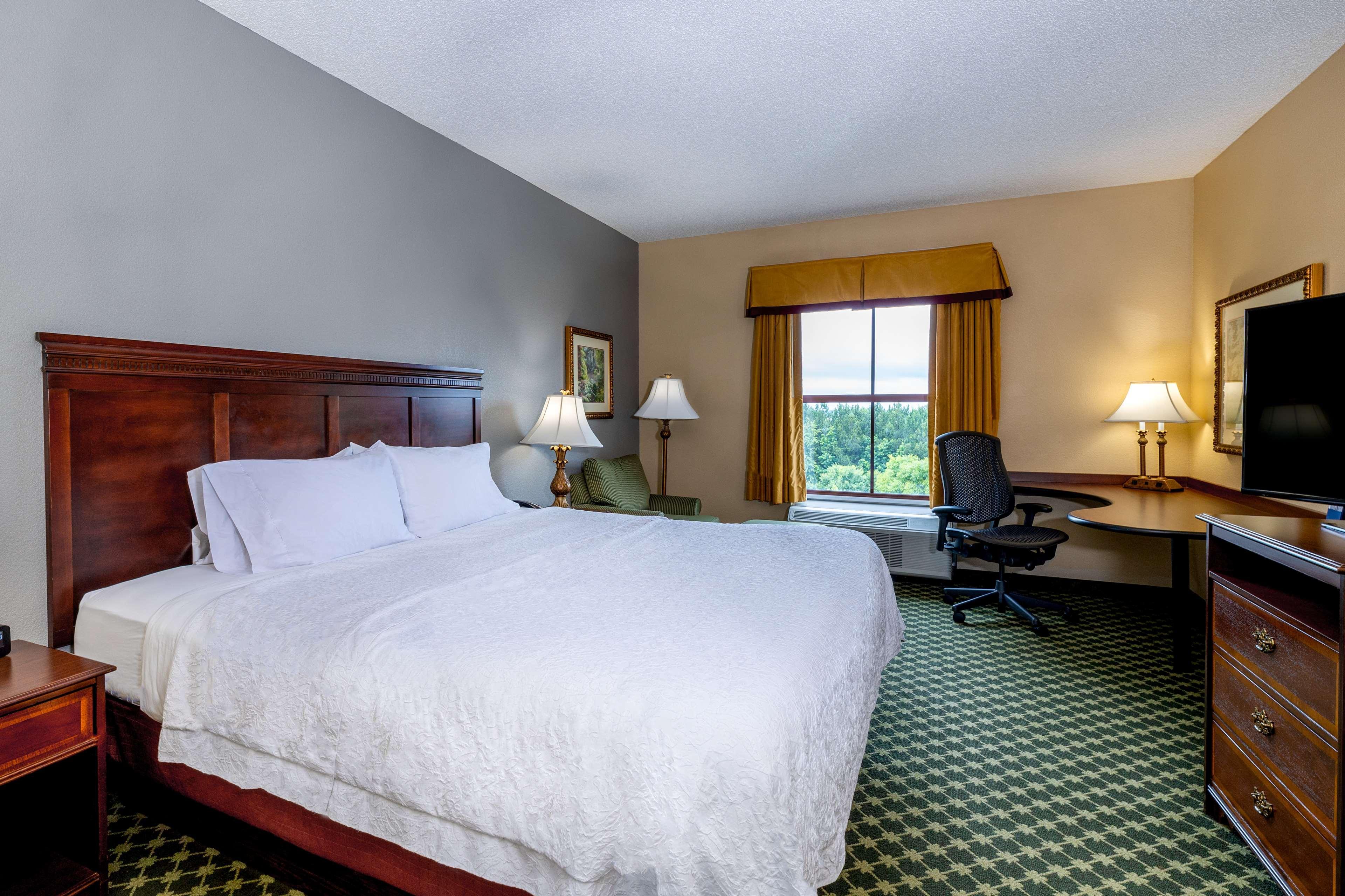 Hampton Duluth Hotel 3*