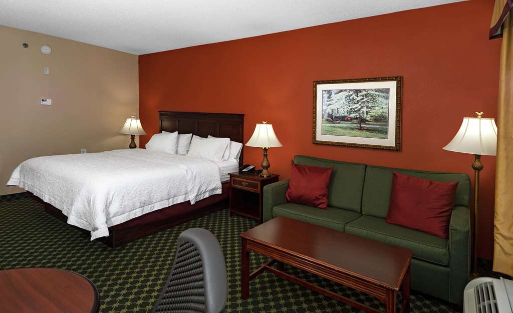 Hampton Duluth Hotel 3*